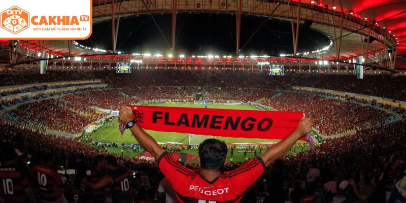 Flamengo Brazil - Biểu Tượng Huy Hoàng Của Bóng Đá Nam Mỹ 1 flamengo brazil